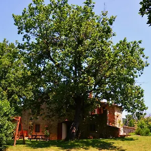 Bed & Breakfast Il Venaio, Massa Marittima